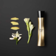 Armani Code Absolu L EDP 75 ml