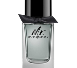Burberry Mr. Burberry M EDT 100 Ml