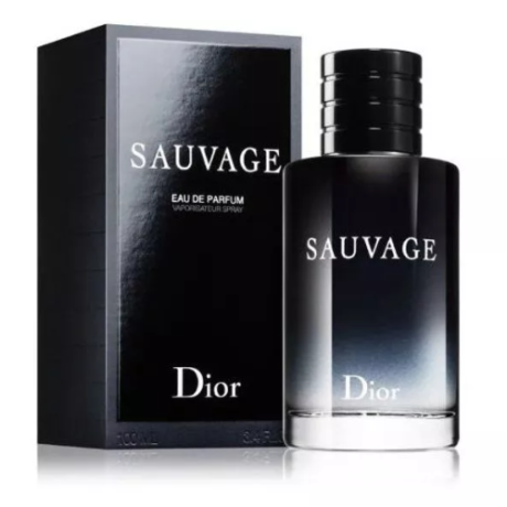 CHRISTIAN-DIOR-SAUVAGE-M-EDP-100-ML-VAPO-500-×-500-px-1.png