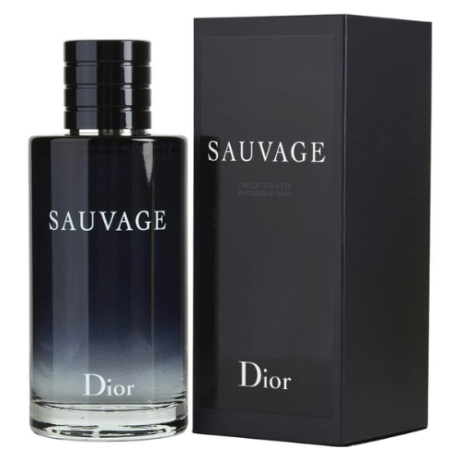 Christian-Dior-Sauvage-M-EDT-100-ml-500-×-500-px.png