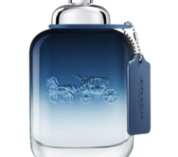 Coach Blue M EDT 100 Ml