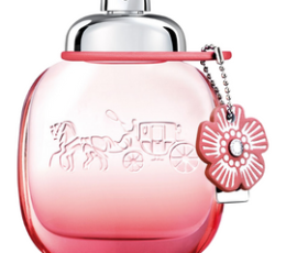 Coach Floral Blush L EDP 90 Ml