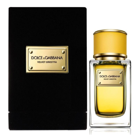 DOLCE-GABBANA-VELVET-COLLECTION-GINESTRA-L-EDP-150-ML-VAPO500-×-500-px-3.png