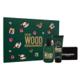 Dsquared2 Green Wood M EDT 100 Ml +Shower Gel 100 Ml +Card Holder