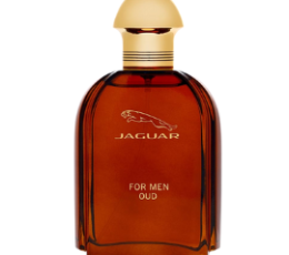 Jaguar Oud M EDP 100 Ml
