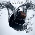 Lalique Encre Noire M EDT 100 Ml