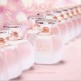 Lalique Reve D’Infini L EDP 100 Ml