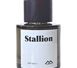 Monte Bianco Stallion EDP 100ml