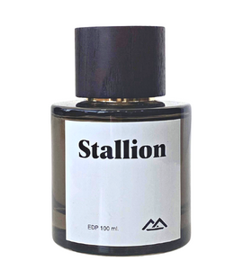 Monte Bianco Stallion EDP 100ml