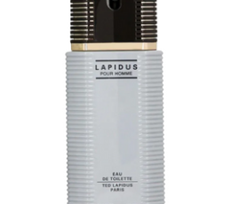 Ted Lapidus Pour Homme M EDT 100 Ml