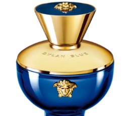 Versace Dylan Blue Pour Femme L EDP 100 Ml