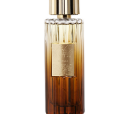 Voyage Royal Dracula Intense M EDP 100 Ml