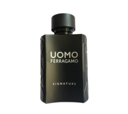 Salvatore Ferragamo Uomo Signature M 100ml