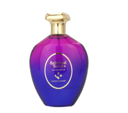 LUXURY CONCEPT SPIRITUAL SCENTS DEP 100ML VAPO