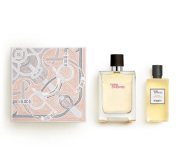 Hermes Terre D'hermes Set Edt 100ml + S/g 80ml