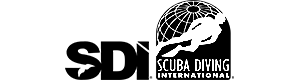 SDI---B